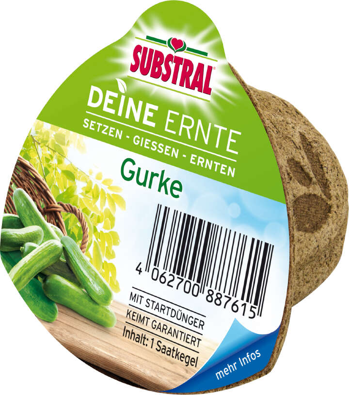 SUBSTRAL Deine Ernte Saatkegel Gurke